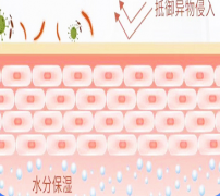 皮肤屏障具有哪些功能?